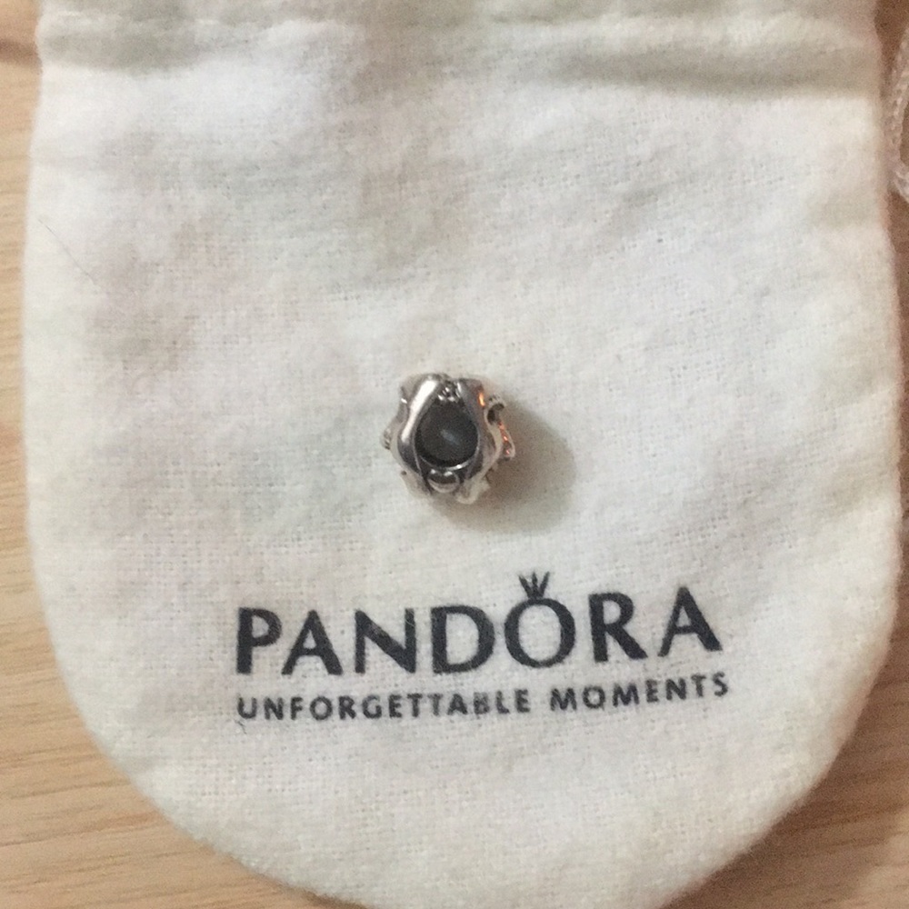To be or not to be Pandora Charm